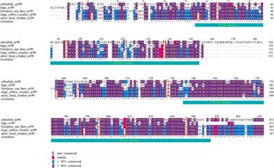 Whole-Genome Sequencing and Genome-Wide Studies of Spiny Head Croaker (Collichthys lucidus) Reveals Potential Insights for Well-Developed Otoliths in the Family Sciaenidae